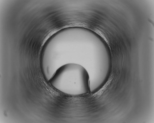 X0000097950781200804141002