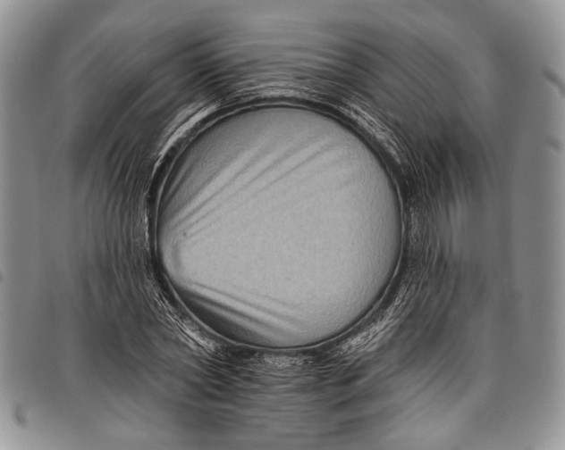 X0000097950782200804141002