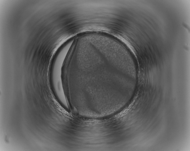 X0000097950783200804141002