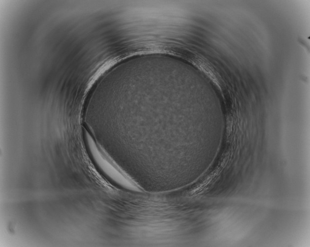X0000097950789200804141002