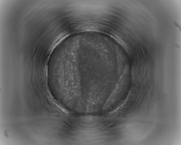 X0000097950790200804141002