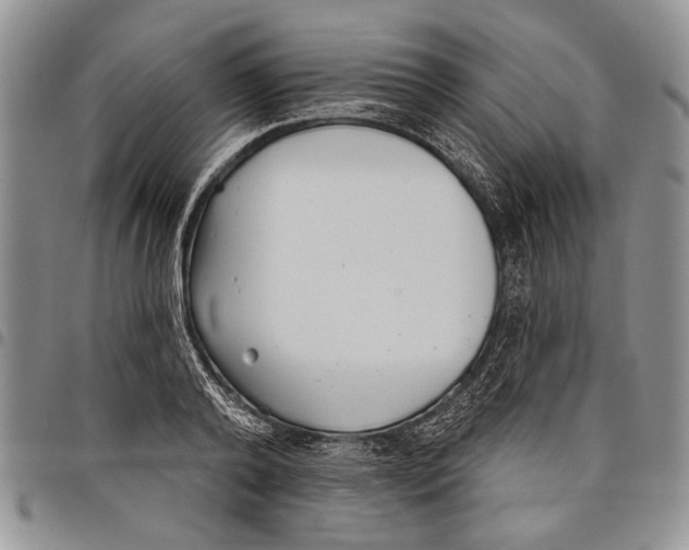 X0000097950792200804141002