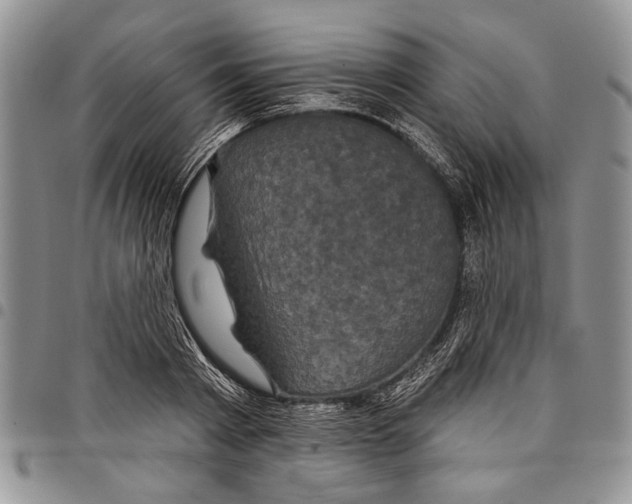 X0000097950793200804141002