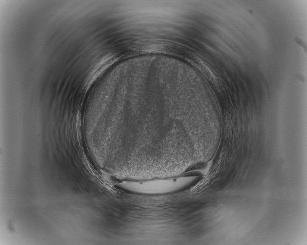 X0000097950798200804141002