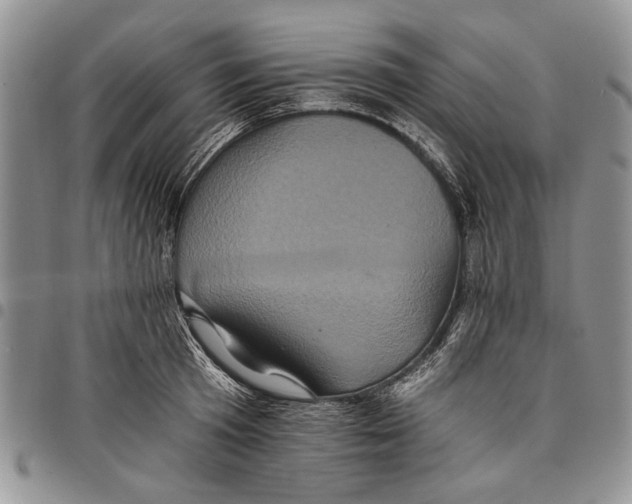 X0000097950801200804141002