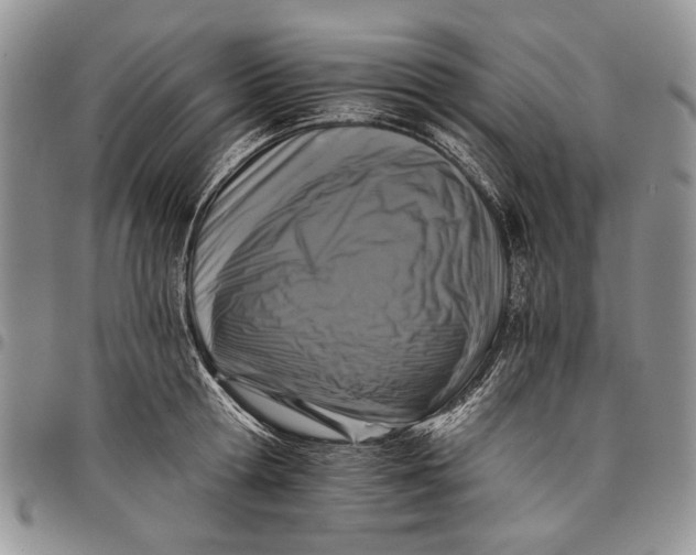 X0000097950802200804141002