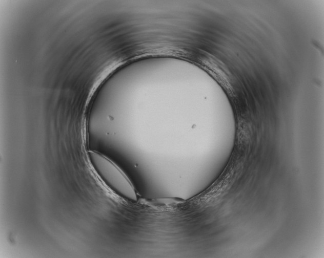 X0000097950804200804141002