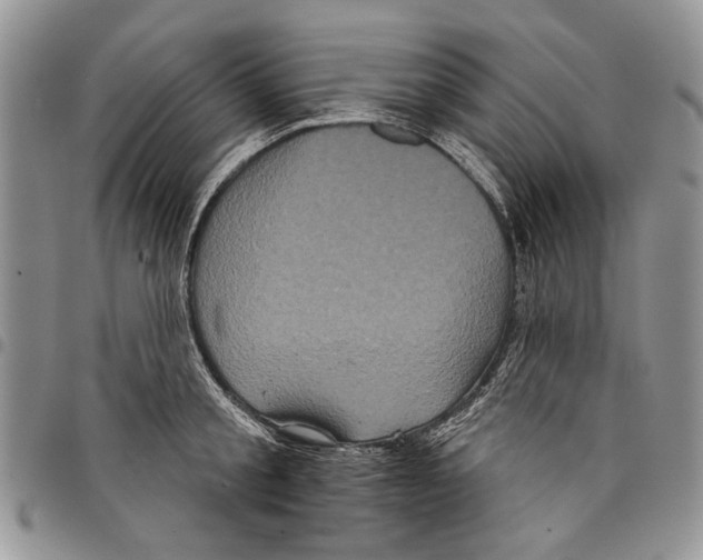X0000097950805200804141002