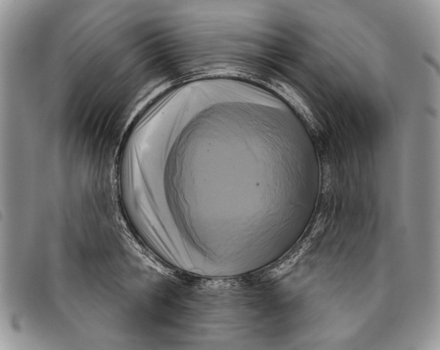 X0000097950806200804141002