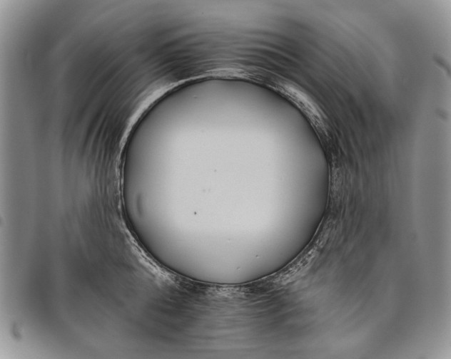 X0000097950808200804141002