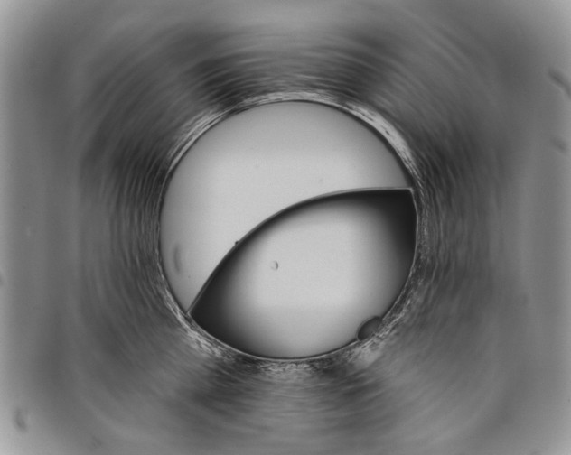 X0000097950809200804141002