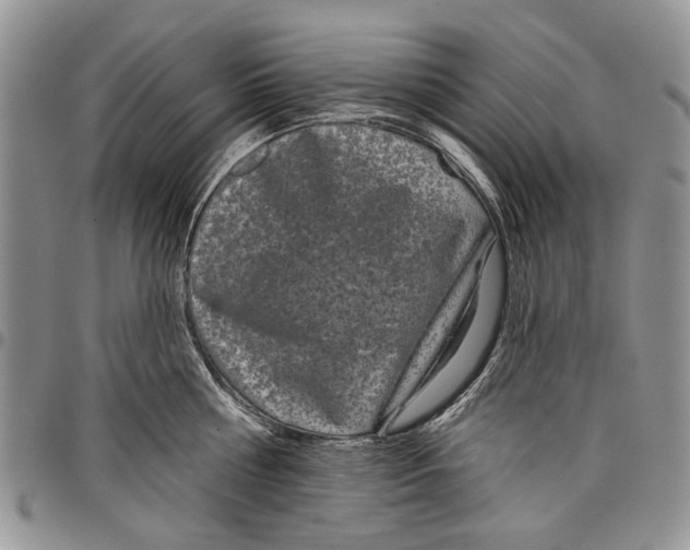 X0000097950810200804141002