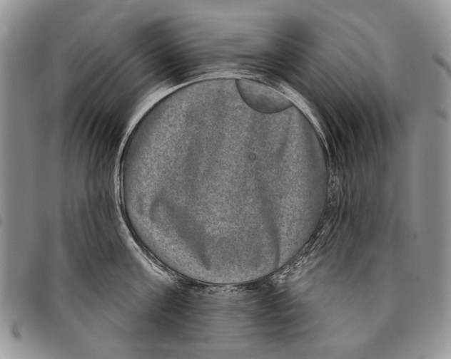 X0000097950811200804141002
