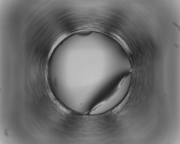 X0000097950812200804141002