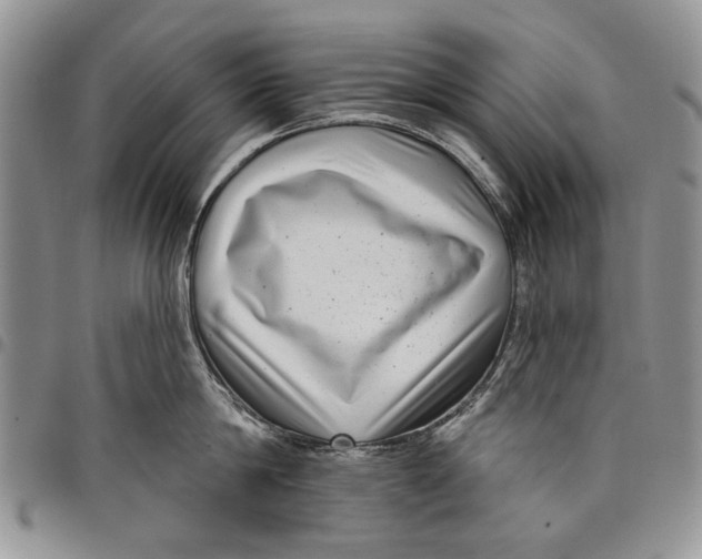 X0000097950814200804141001