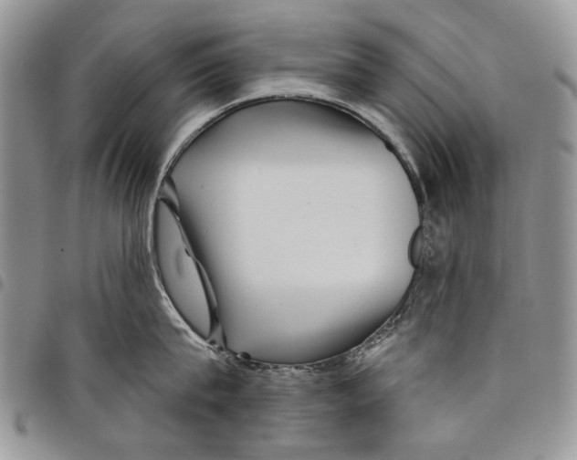 X0000097950815200804141001