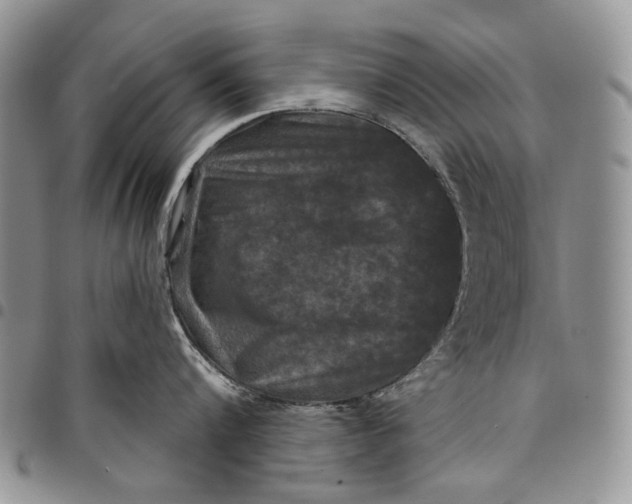 X0000097950816200804141001