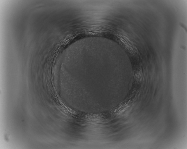 X0000097950817200804141001