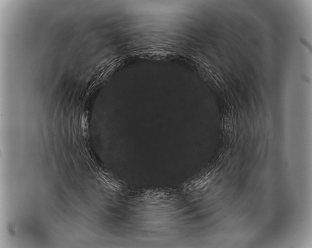 X0000097950818200804141001