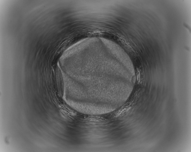 X0000097950819200804141001