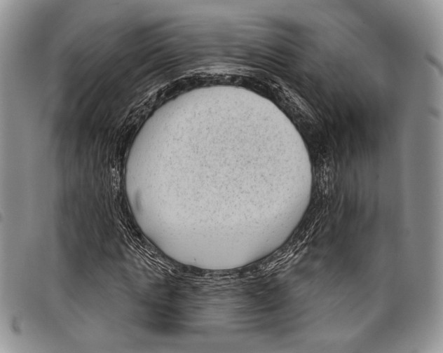 X0000097950821200804141001