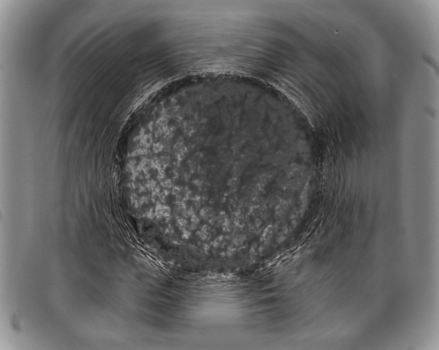 X0000097950823200804141001