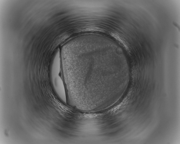 X0000097950825200804141001