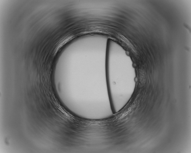 X0000097950826200804141001