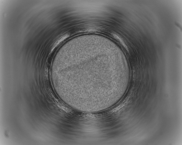 X0000097950827200804141001