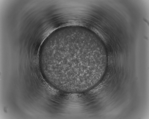 X0000097950828200804141001