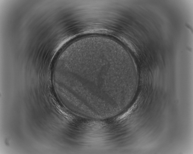 X0000097950830200804141001