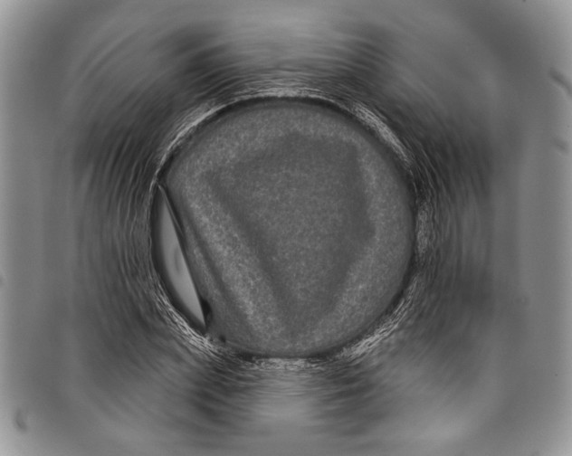 X0000097950831200804141001