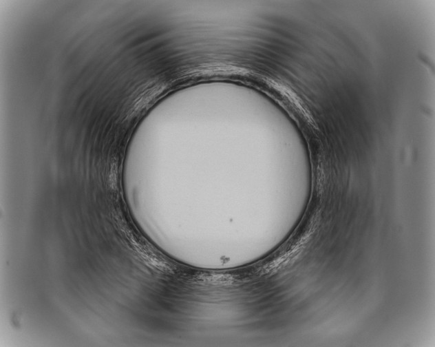 X0000097950833200804141001