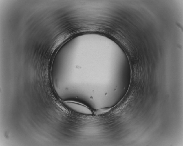 X0000097950834200804141001