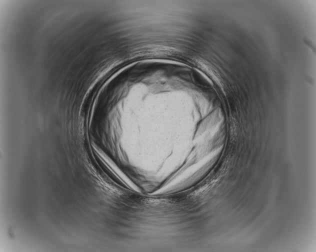 X0000097950835200804141001
