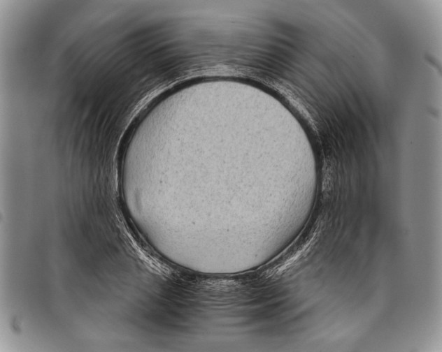 X0000097950837200804141001