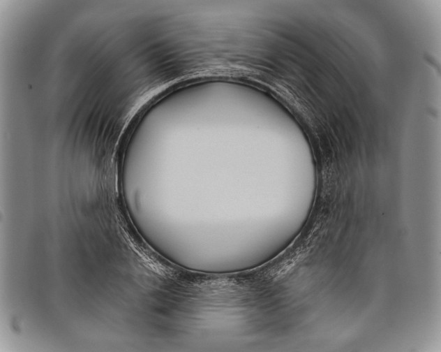 X0000097950838200804141001