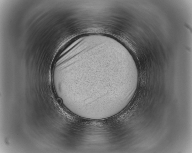 X0000097950839200804141001