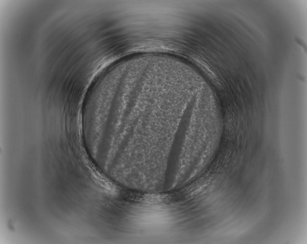 X0000097950840200804141001