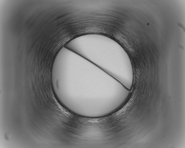 X0000097950841200804141001