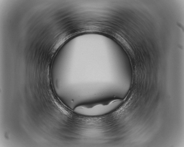 X0000097950842200804141001