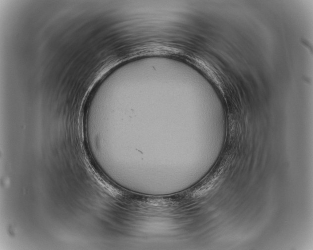 X0000097950843200804141001