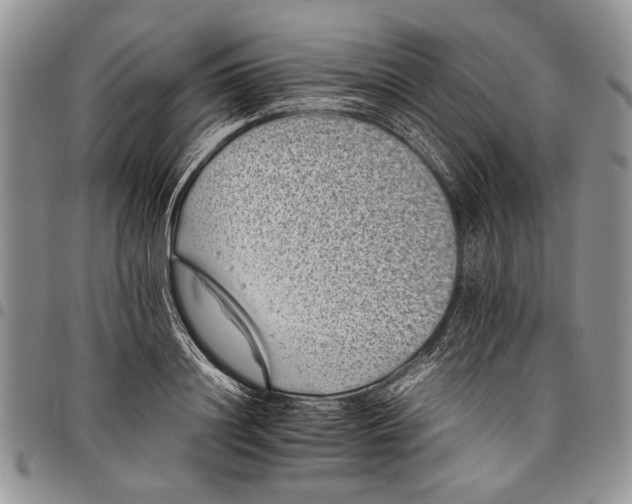 X0000097950844200804141001