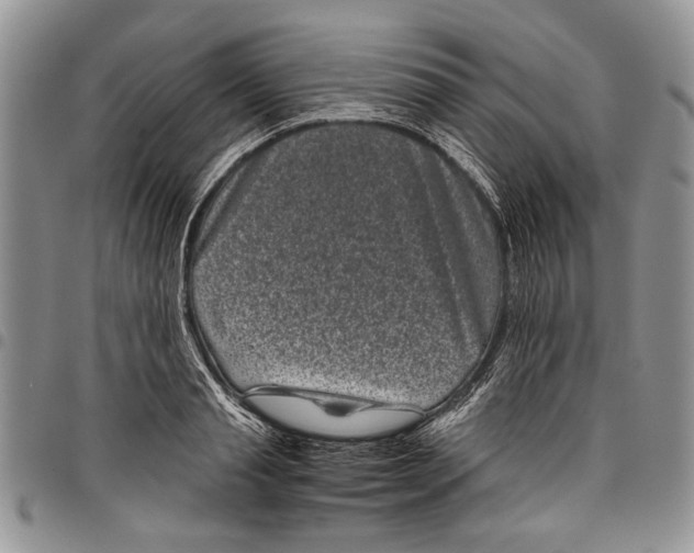 X0000097950845200804141001