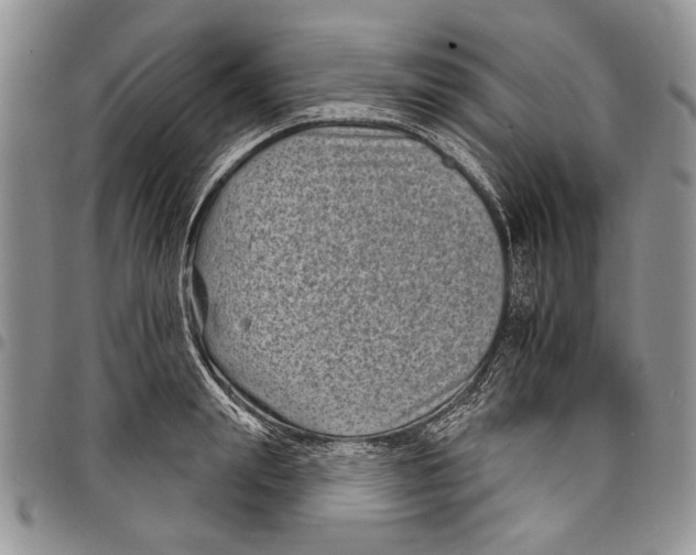 X0000097950847200804141001