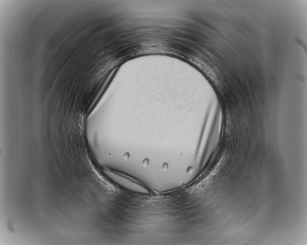 X0000097950849200804141001