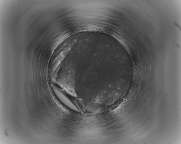 X0000097950850200804141001