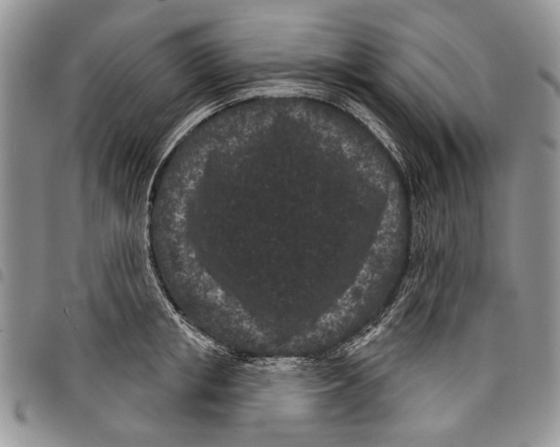 X0000097950853200804141001