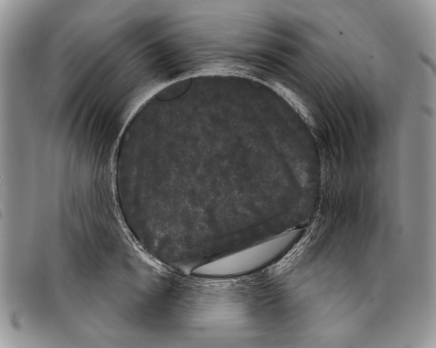 X0000097950854200804141001