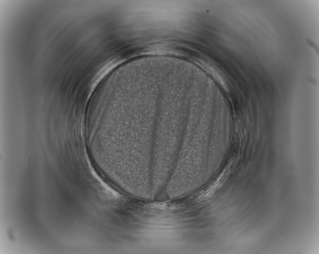 X0000097950855200804141001